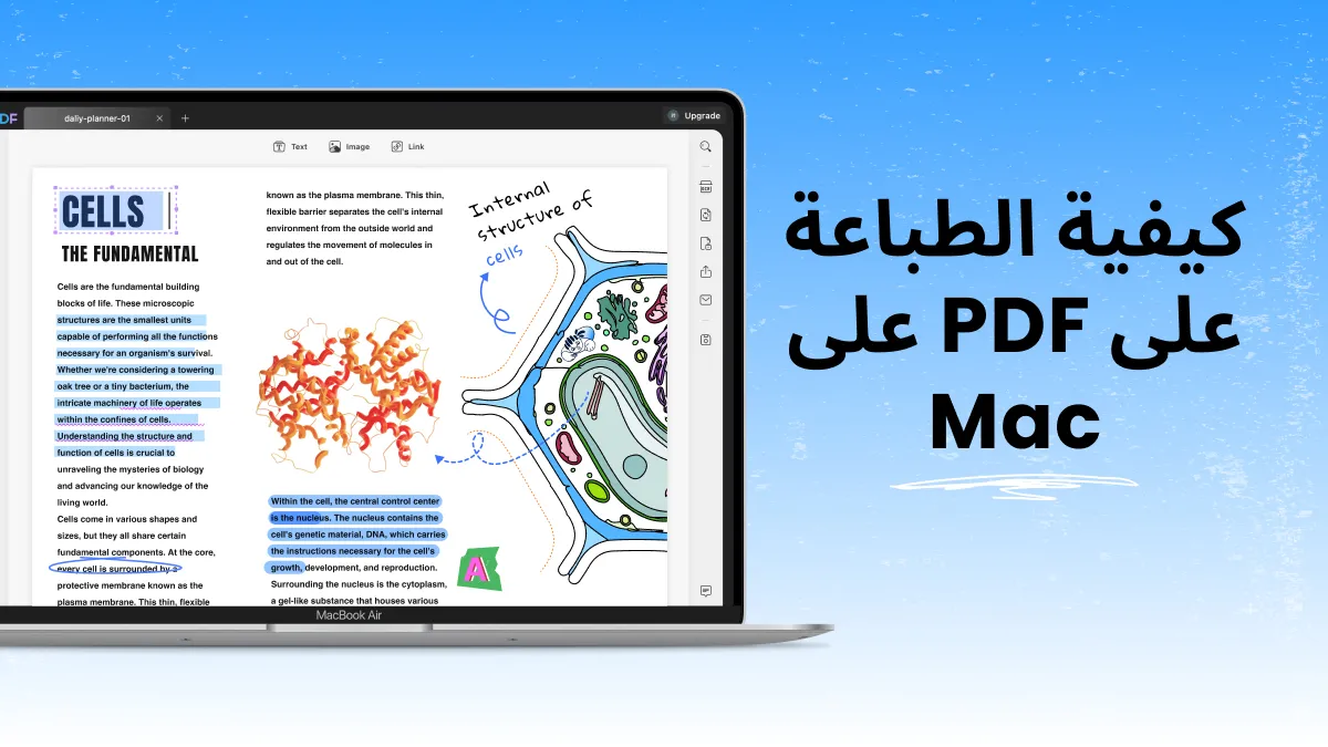 استكشاف كيفية الطباعة إلى ملفPDF على نظام ماك