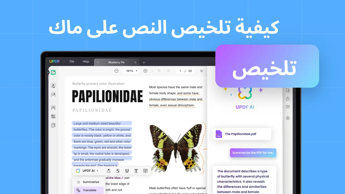 فهم كيفية تلخيص النصوص أو المقال على نظام التشغيل ماك (متوافق مع macOS Sonoma)