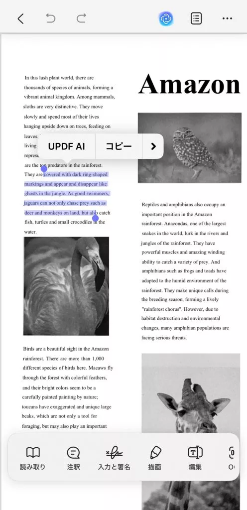 テキストが認識できるようになった