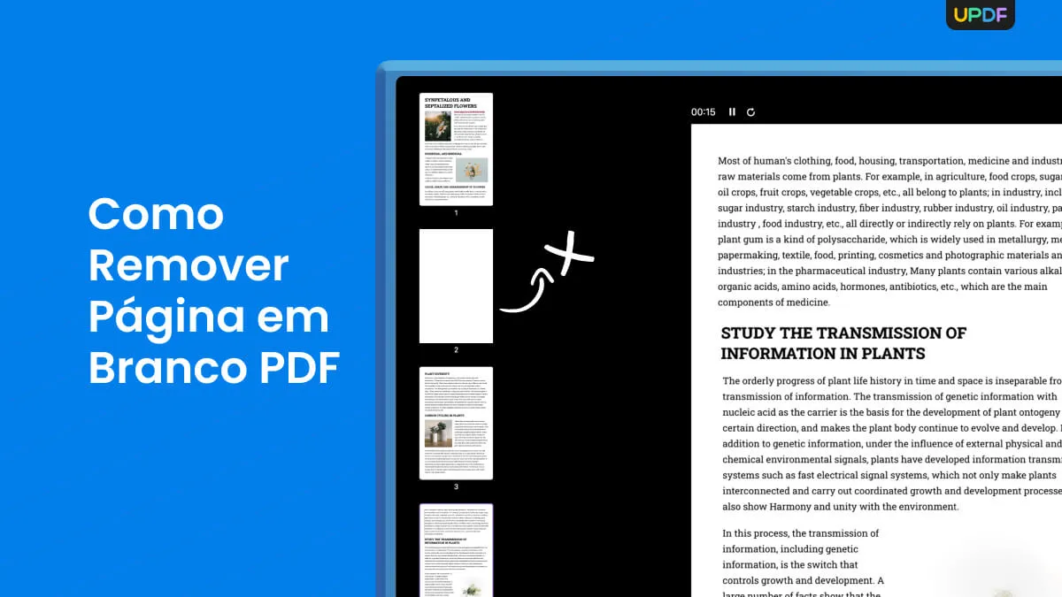 remover pagina em branco pdf