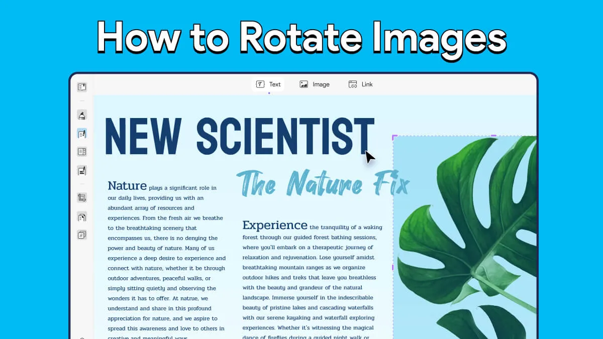 [Full Guide] How to Rotate Images for Free in Any Direction