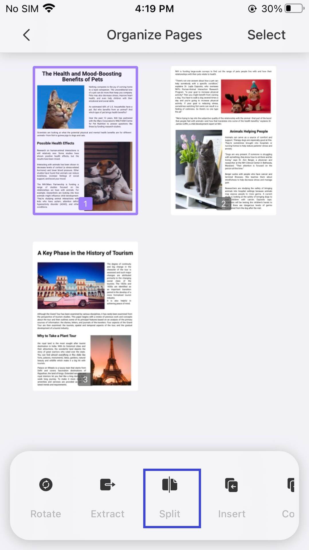 dziel PDF na iOS