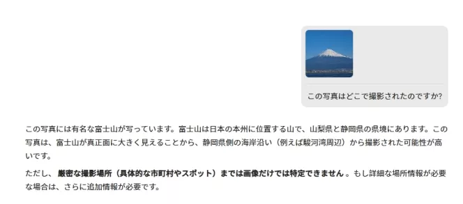画像とのチャットで識別と提案