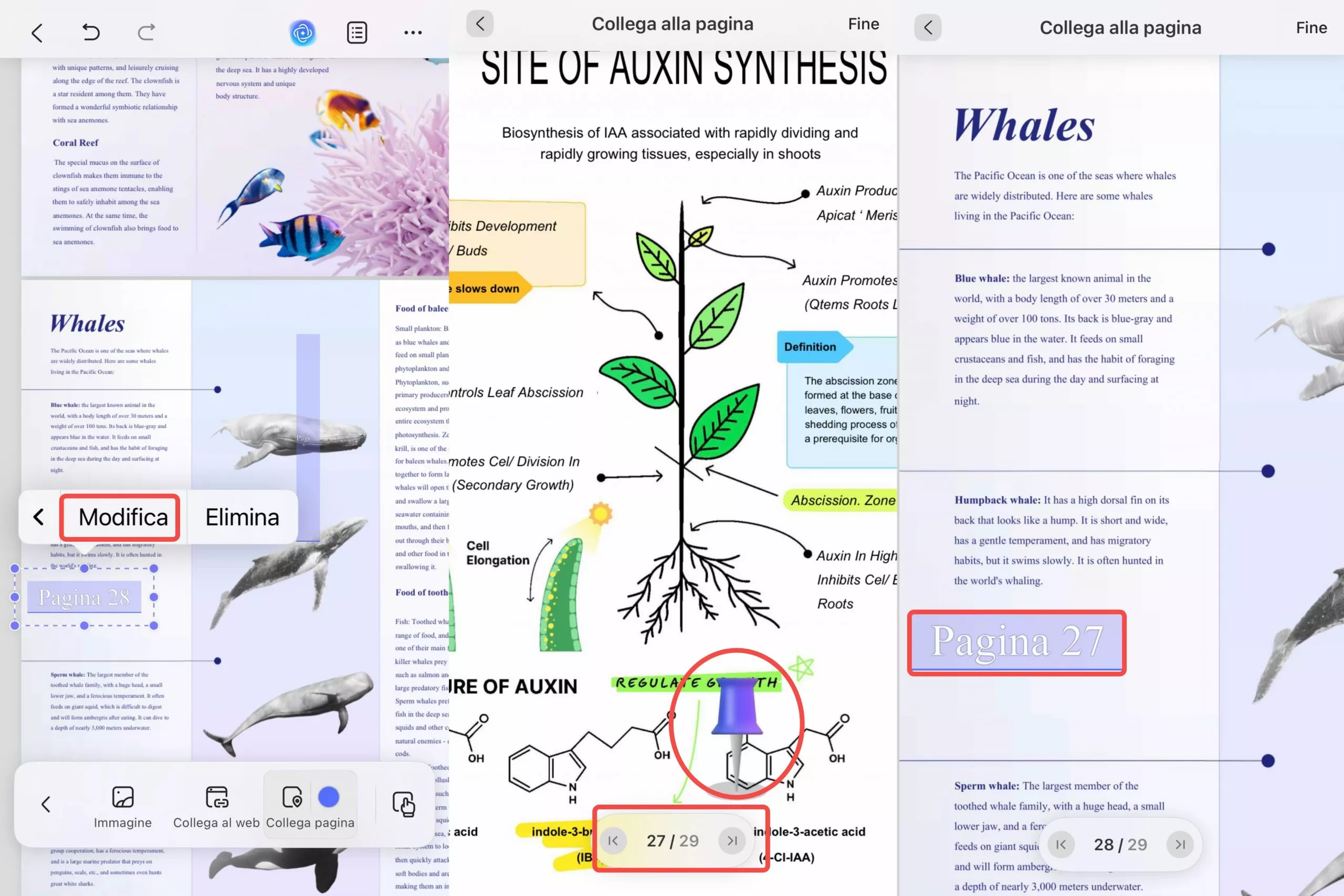 change link to page ios