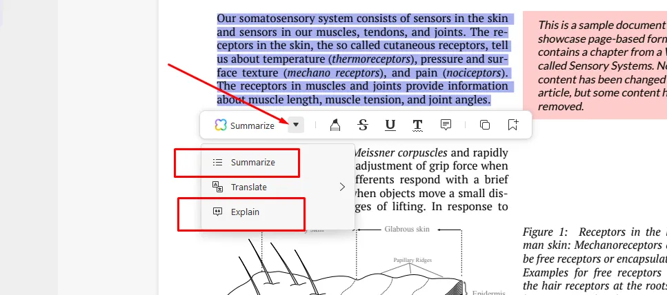 chat pdf online Click the downward arrow and Choose the "Summarize" or "Explain" option.