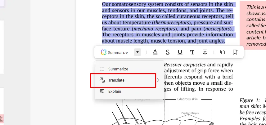 chat pdf online Fai clic sulla freccia rivolta verso il basso e seleziona "Traduci".