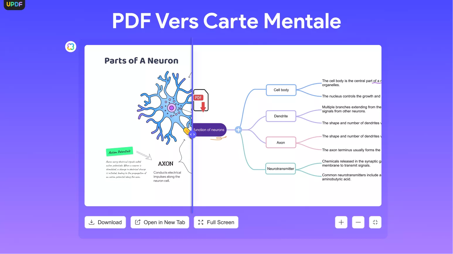 convertir pdf en carte mentale