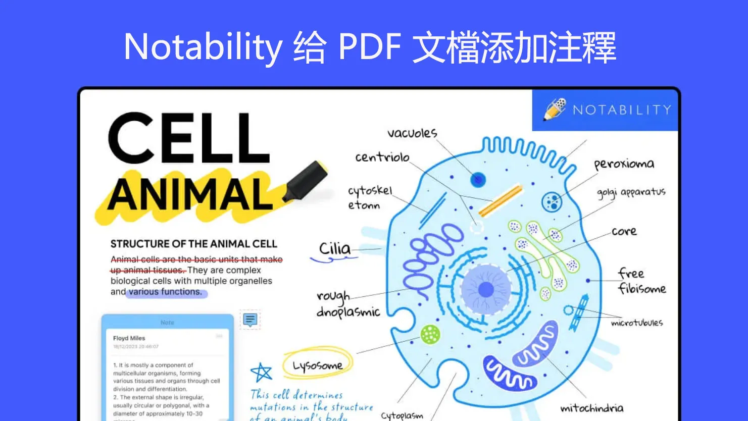 Notability 可以给 PDF 文檔添加注釋嗎？怎麼操作？