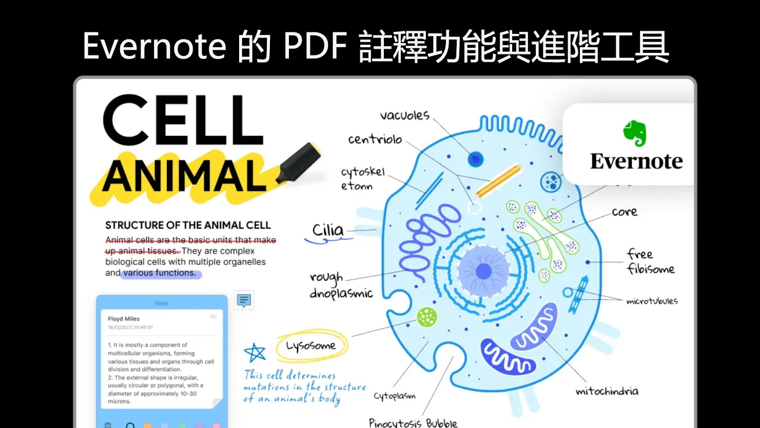 Evernote 的 PDF 註釋功能