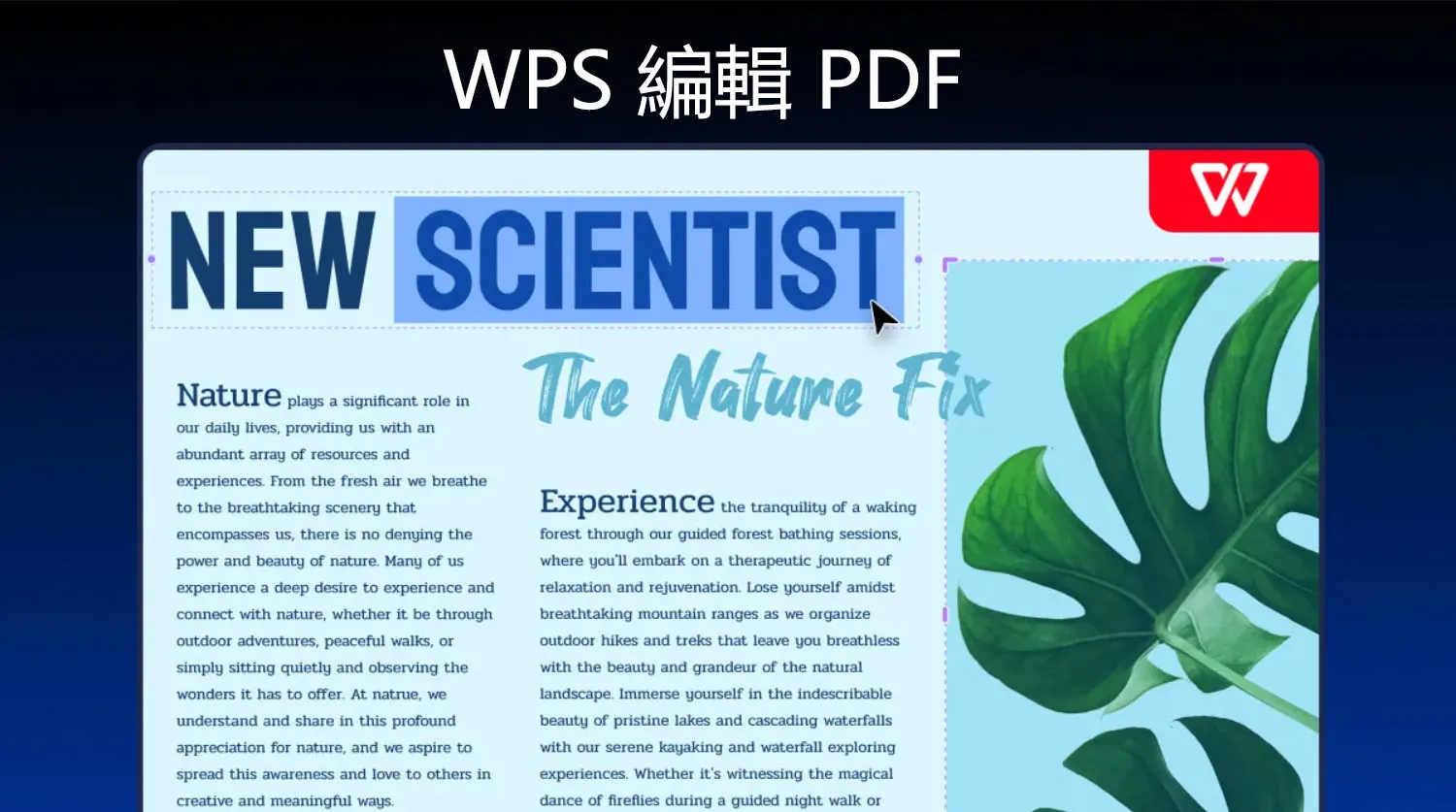 如何使用 WPS Office編輯PDF？
