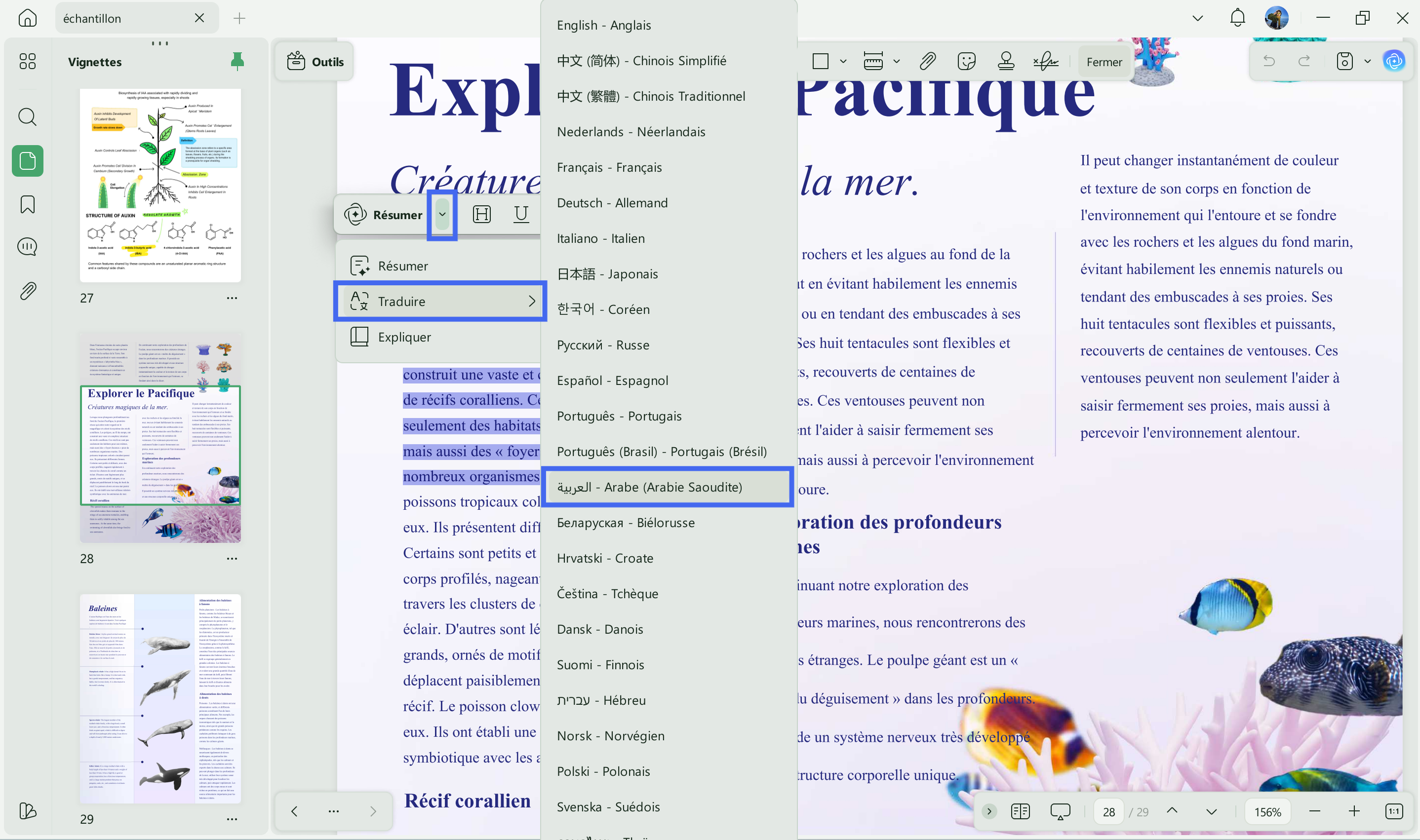 traduire anglais en arabe