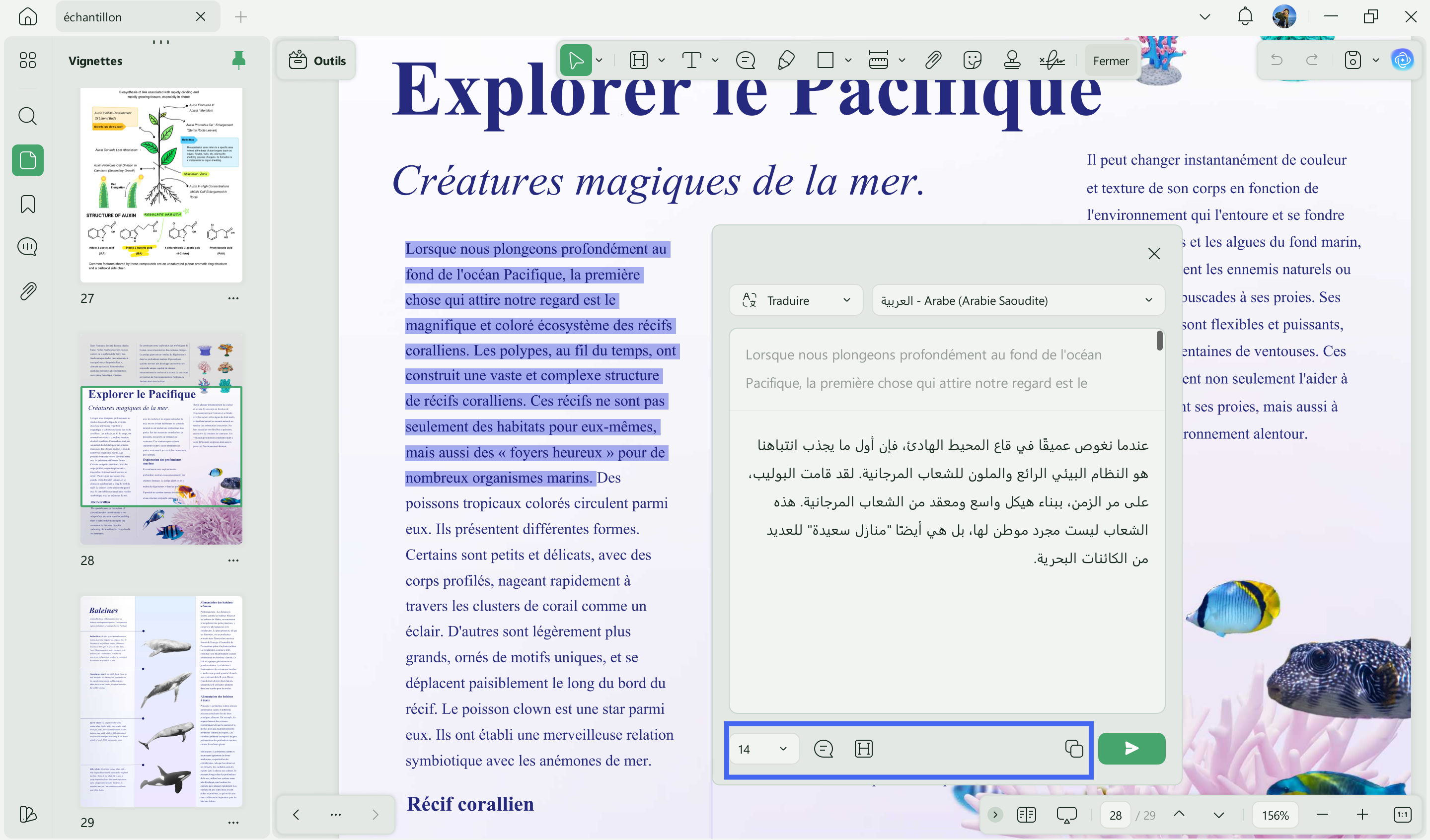 traduire anglais en arabe
