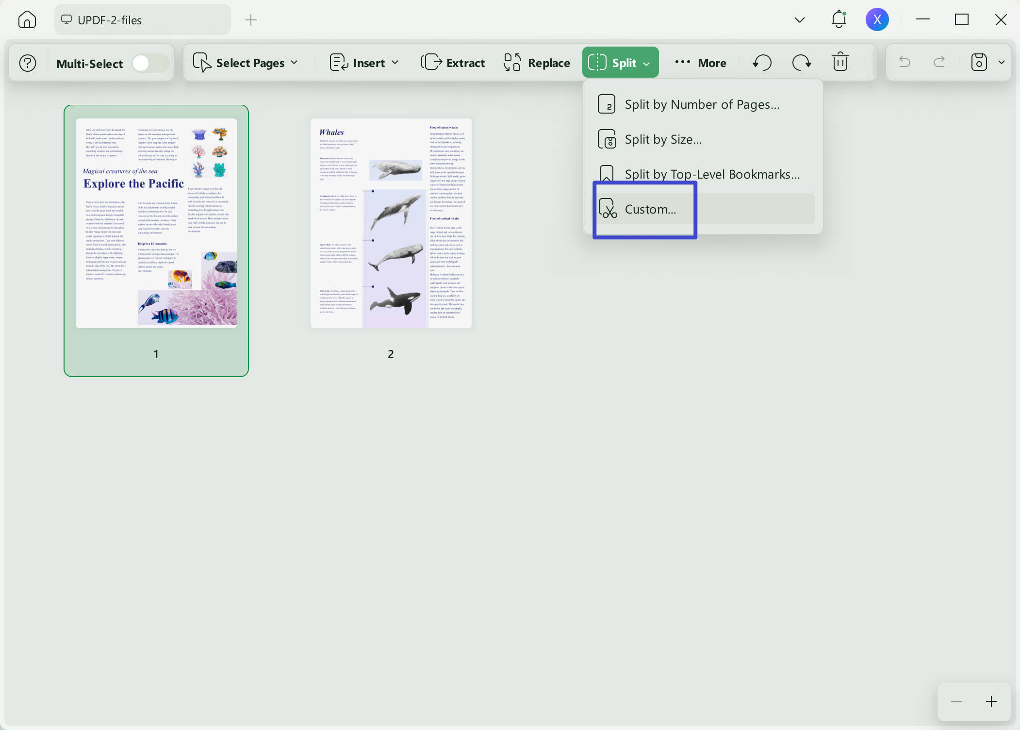 split pdf by size split