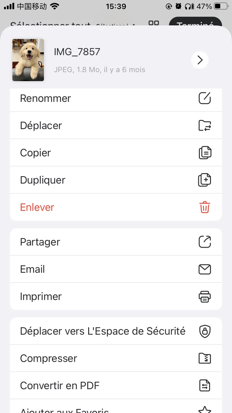 exporter discussion whatsapp en pdf