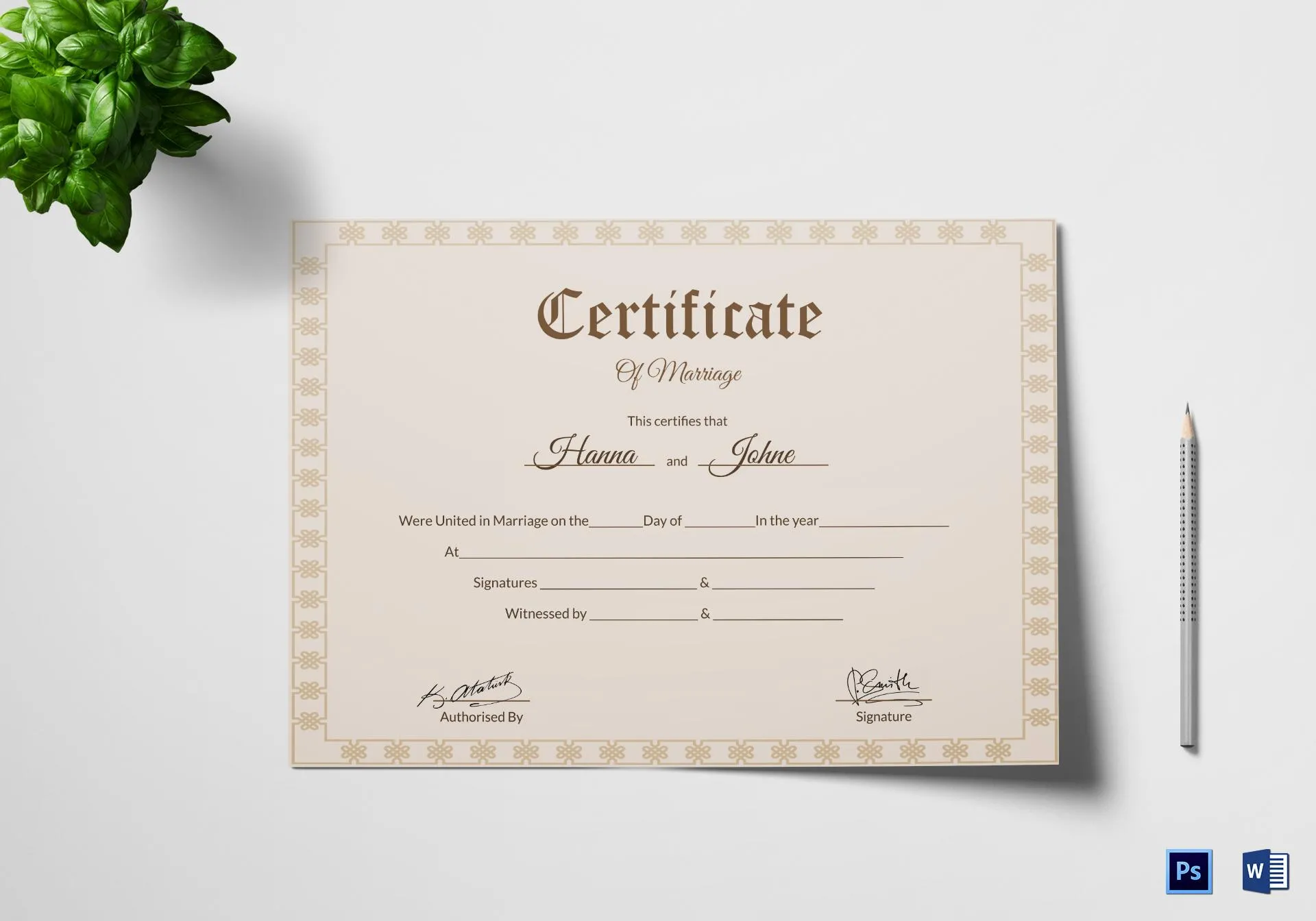 casual vibe marriage certificate form pdf.