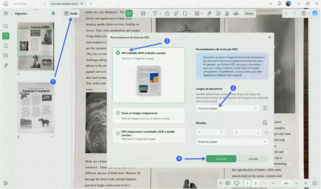OCR PDF