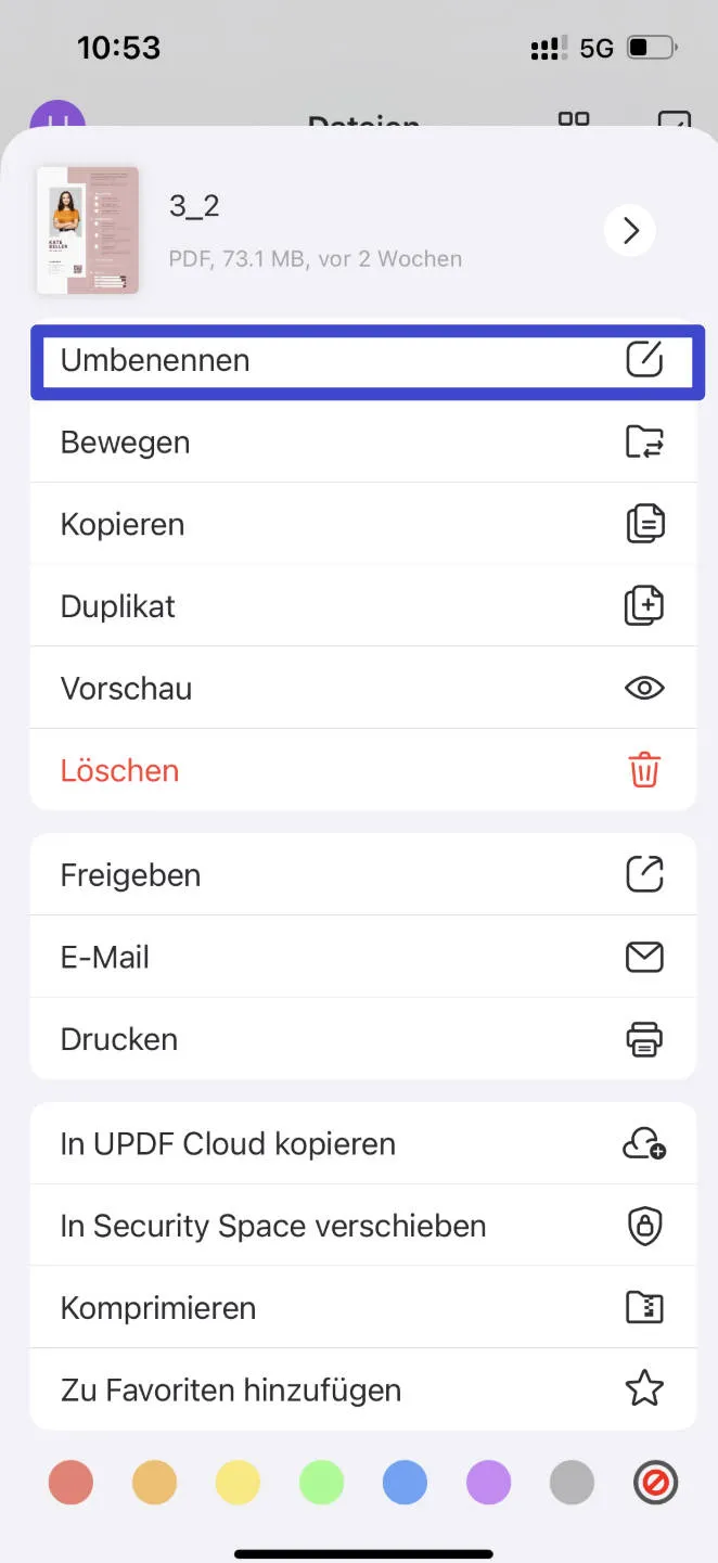 PDF umbenennen PDFs auf iOS umbenennen.