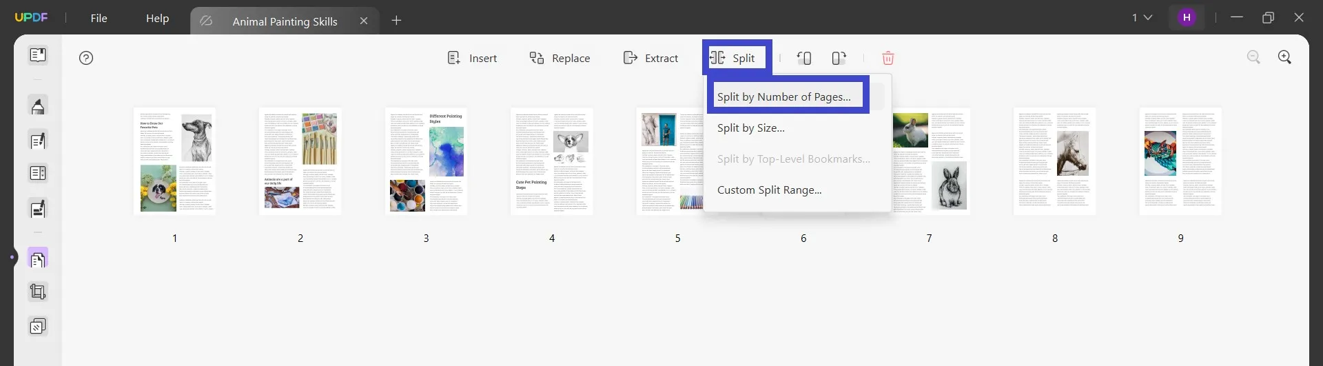 split pdf by size split