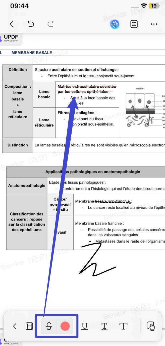 redline a contract select the strikethrough option to redline a contract in PDF on iPhone/iPad