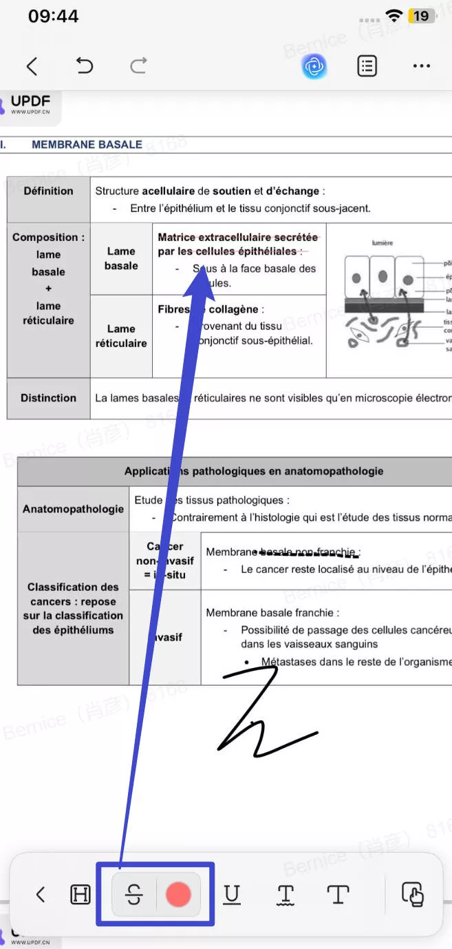 redline a contract select the strikethrough option to redline a contract in PDF on iPhone/iPad