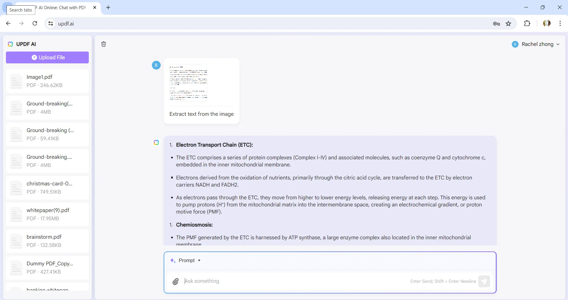 chat with image extract text from image with UPDF's AI Assistant Online 