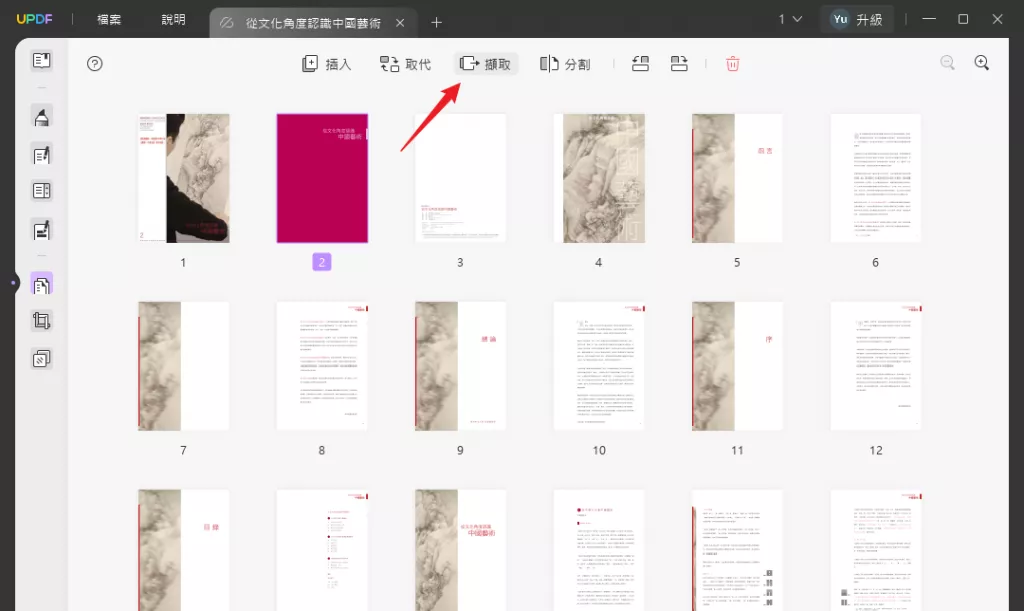 從 PDF 提取頁面