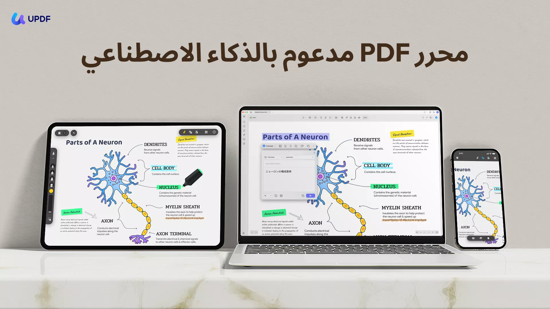 الدردشة مع مستندات PDF الخاصة بك