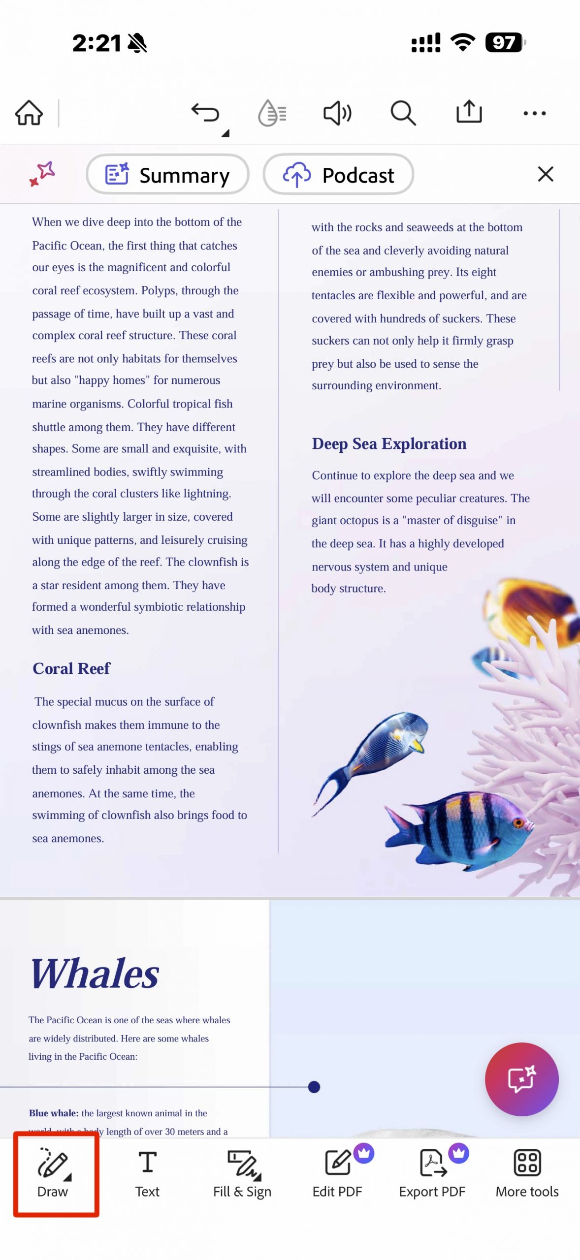 draw in adobe acrobat 4