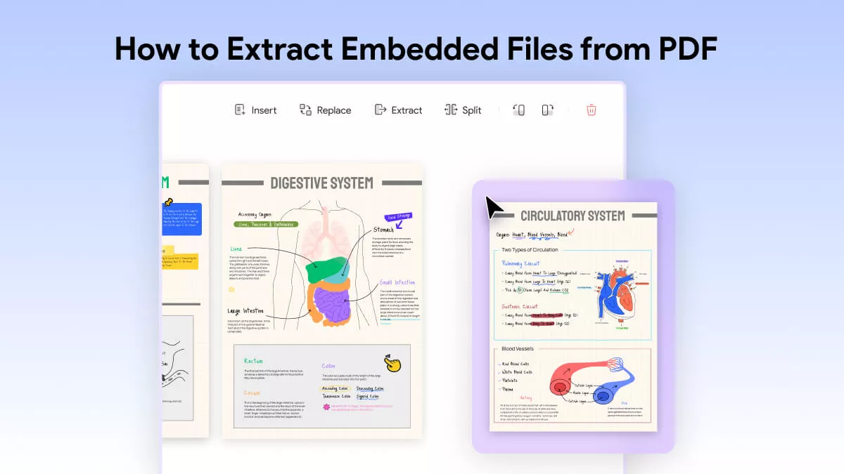 How to Extract Embedded Files from PDF – 3 Effective Methods