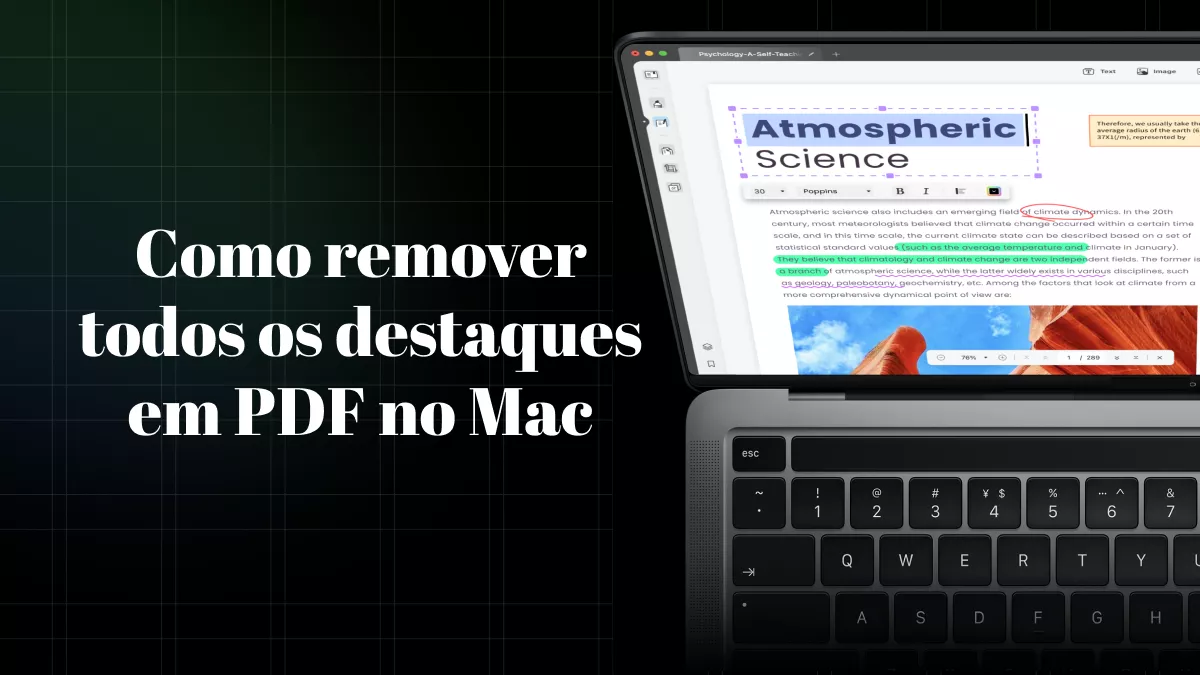 Como remover todos os destaques em PDF no Mac: o guia definitivo em 2024