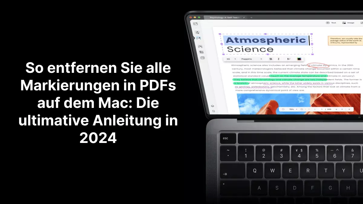 Wie Sie alle Markierungen in PDFs auf Mac entfernen