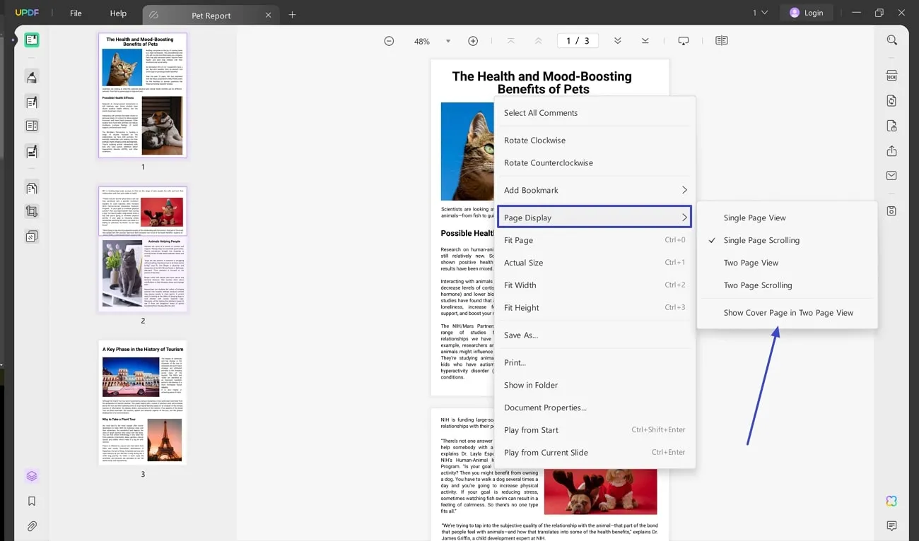 open page display settings on updf