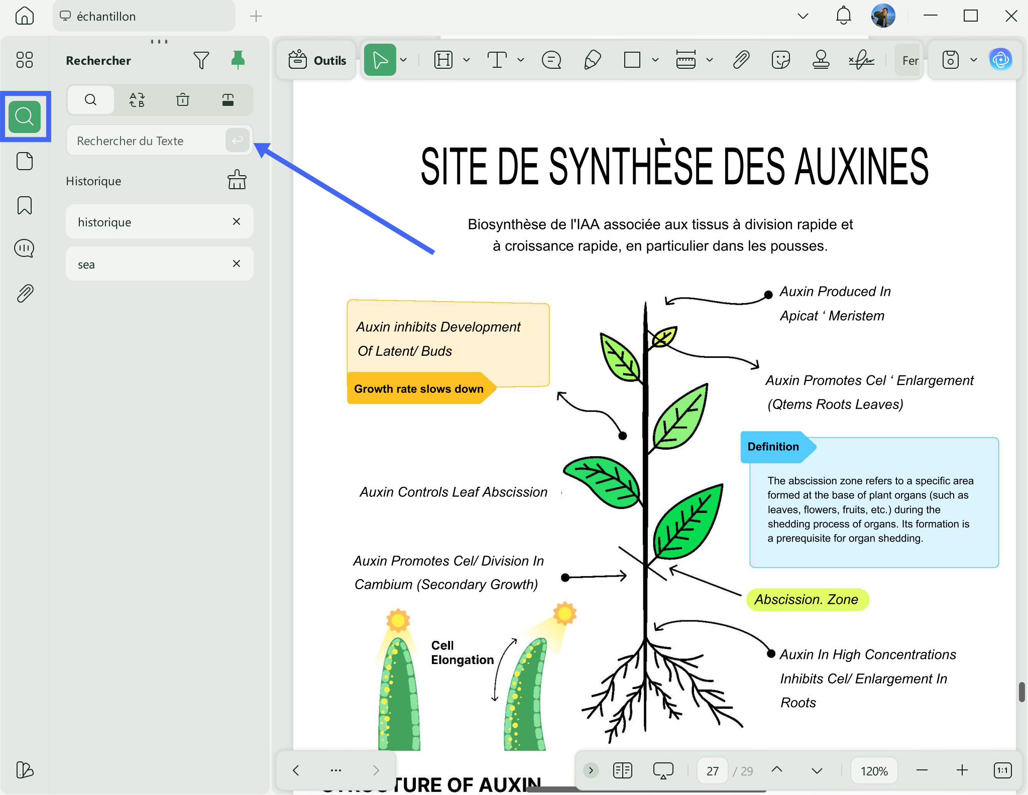 rechercher un mot