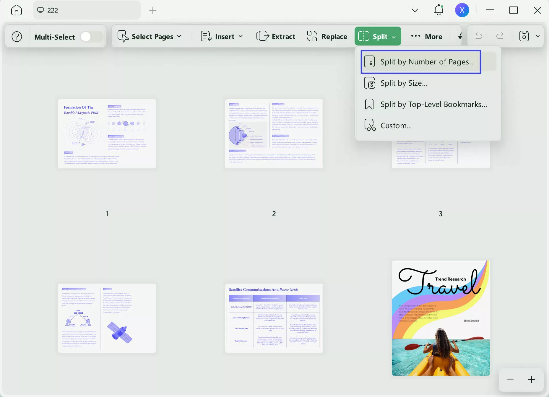 click organize pages and then split with updf