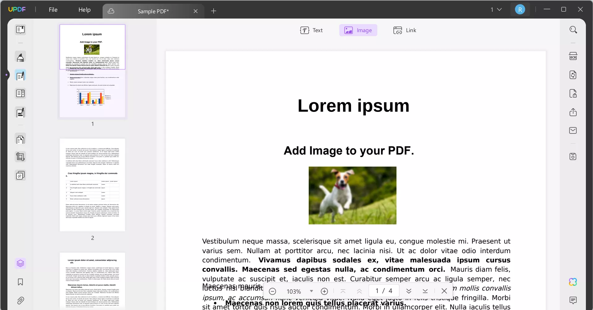  add image to your pdf using the image option with UPDF