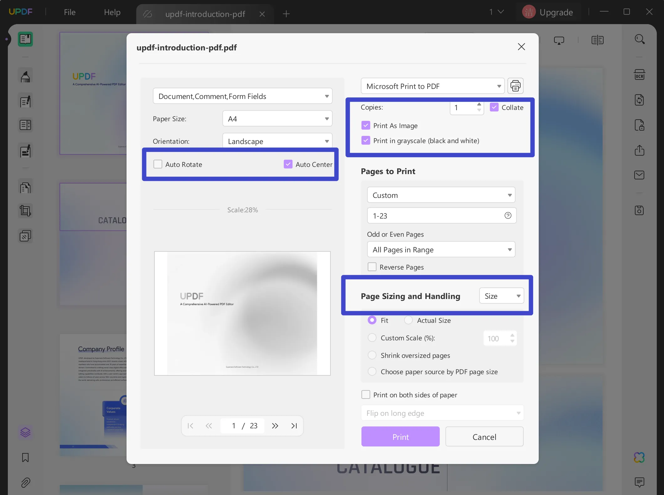 pdf page setup print updf