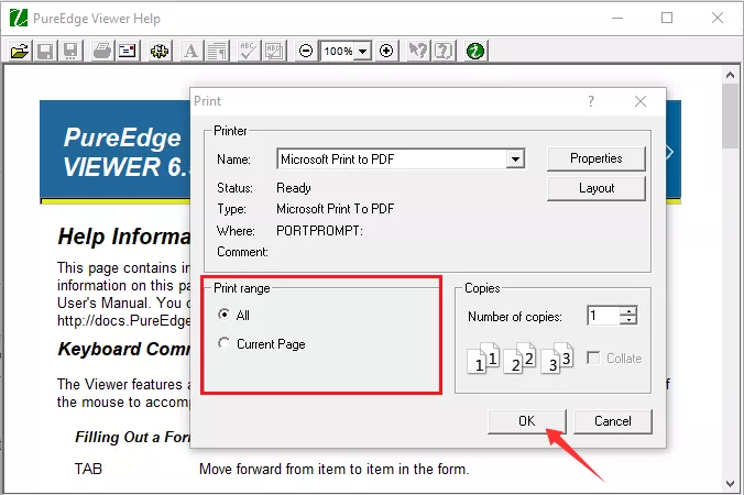 select the page range and click OK to convert XFDL with pureedge