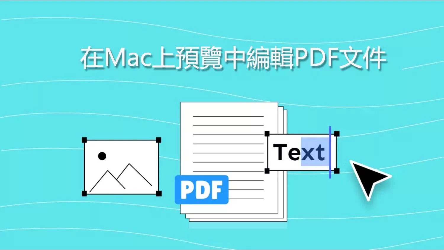 如何在Mac上預覽中編輯PDF文件？