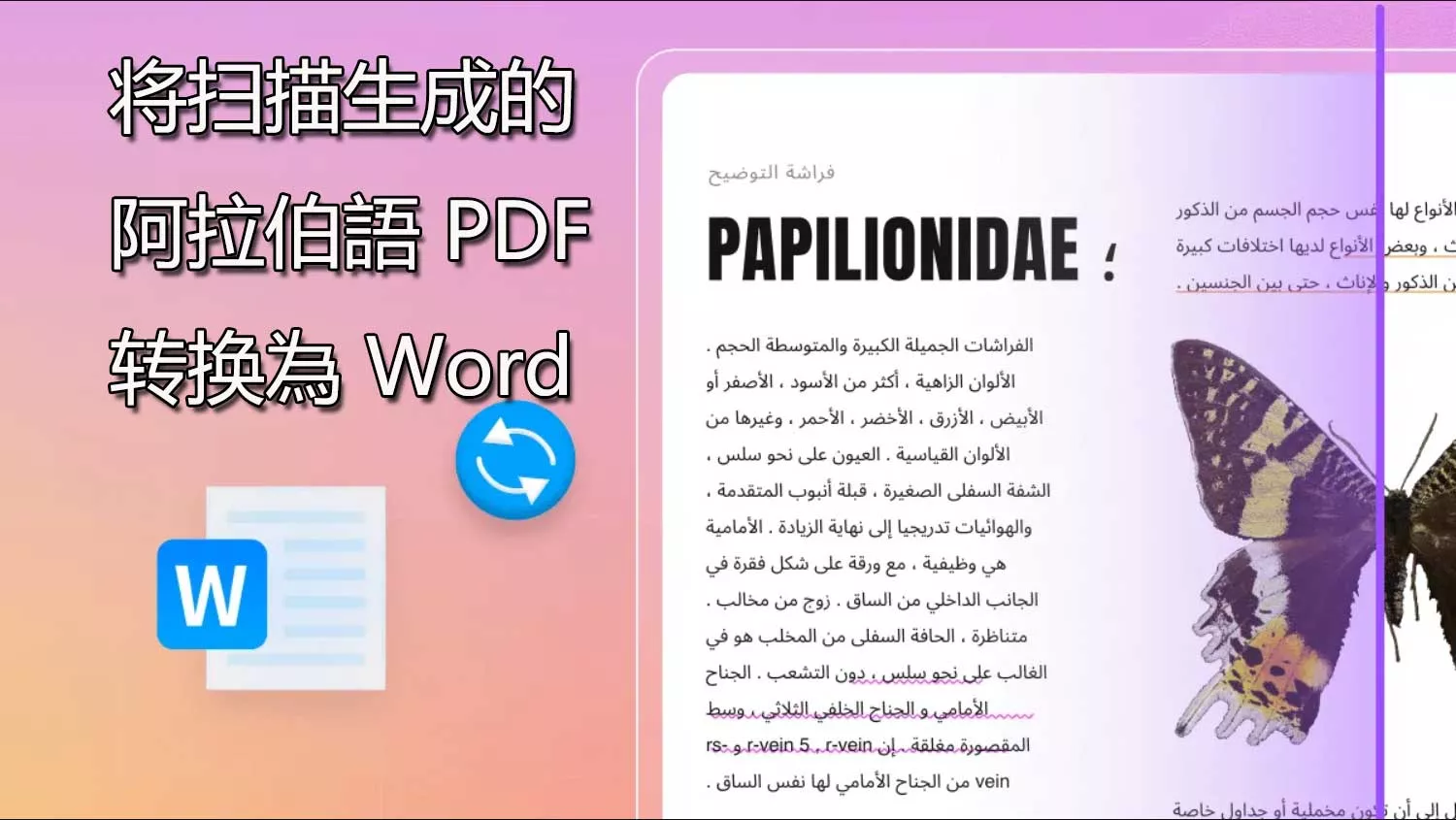 将扫描生成的阿拉伯語 PDF 文件转换為 Word 文档的 3 種方法