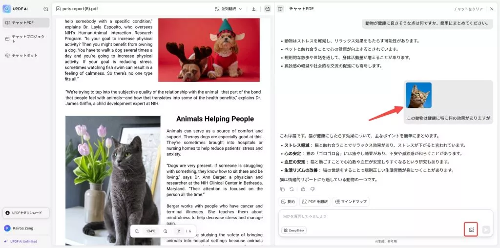 画像をアップロードしPDFとチャットする