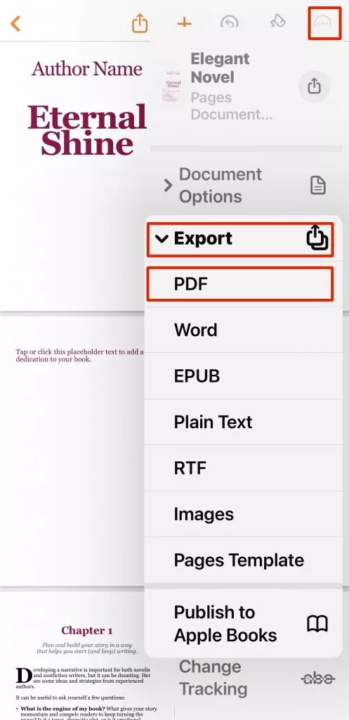 choose pages app export option