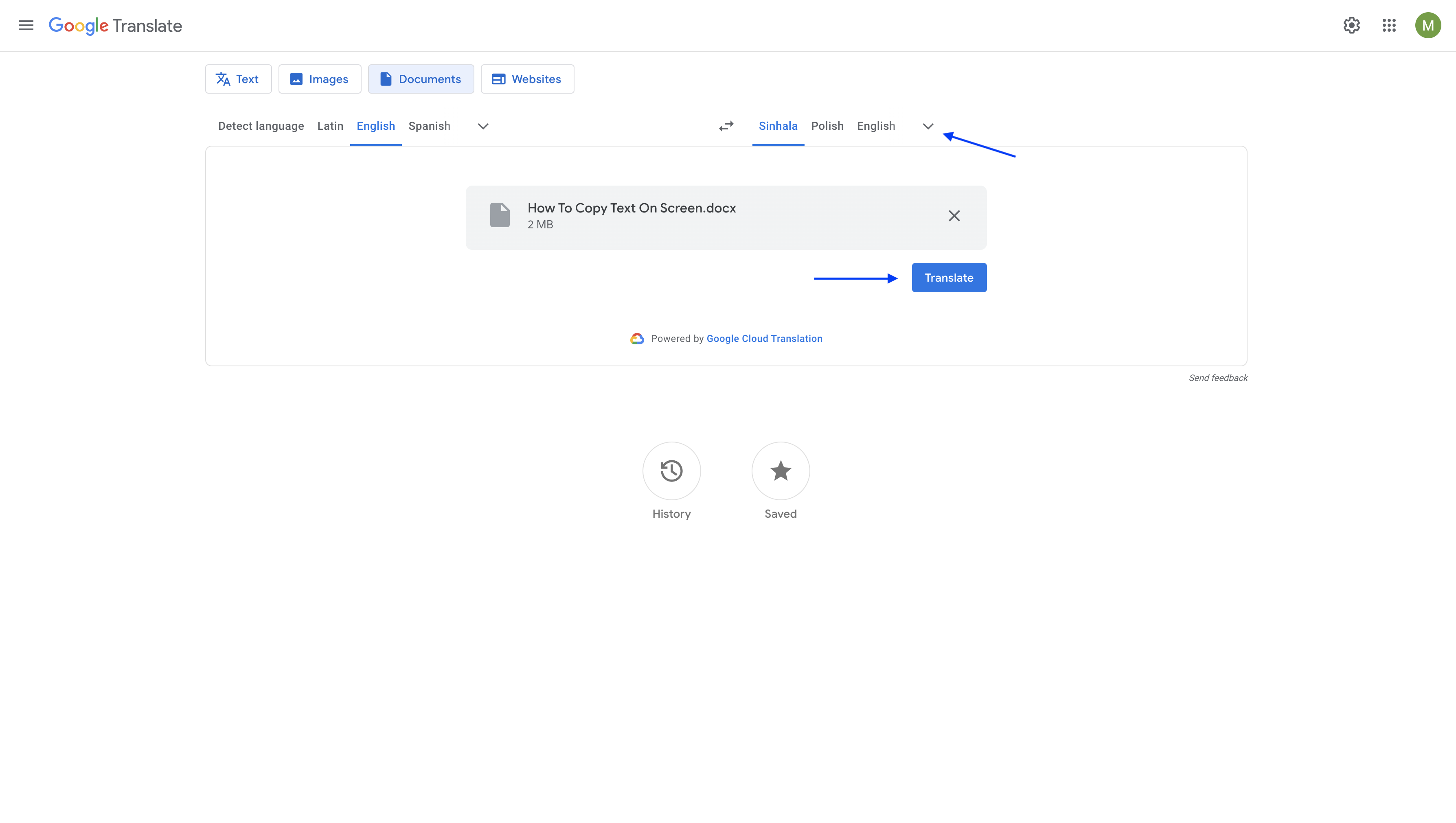 choose the target language in google translate