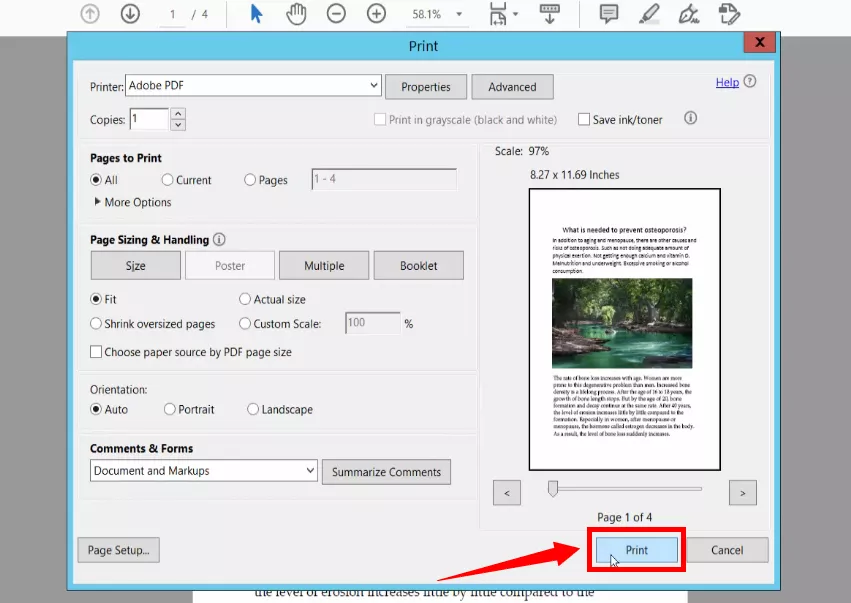 click the print button in acrobat