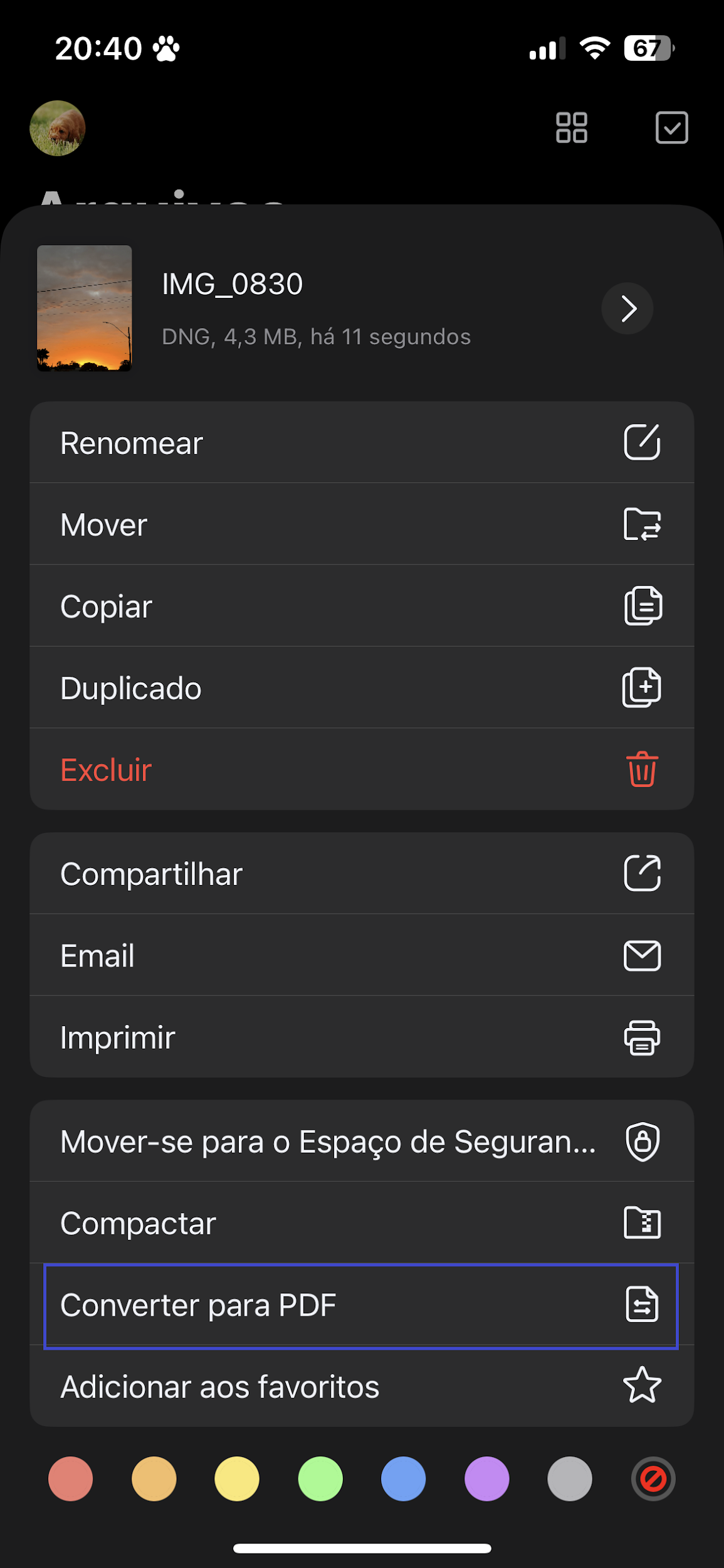 aplicação de imagem para PDF