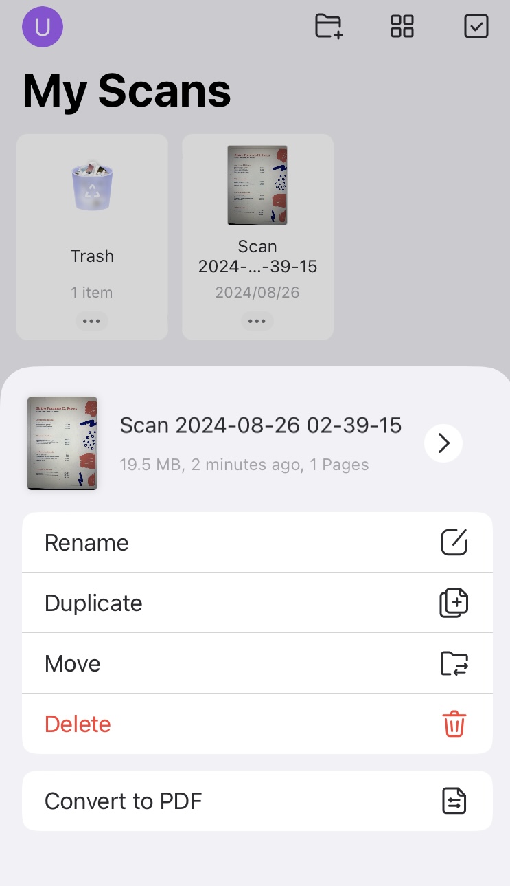 convert the scans to PDF with updf for ios