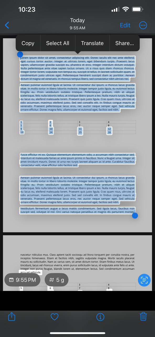copy selected text in iphone