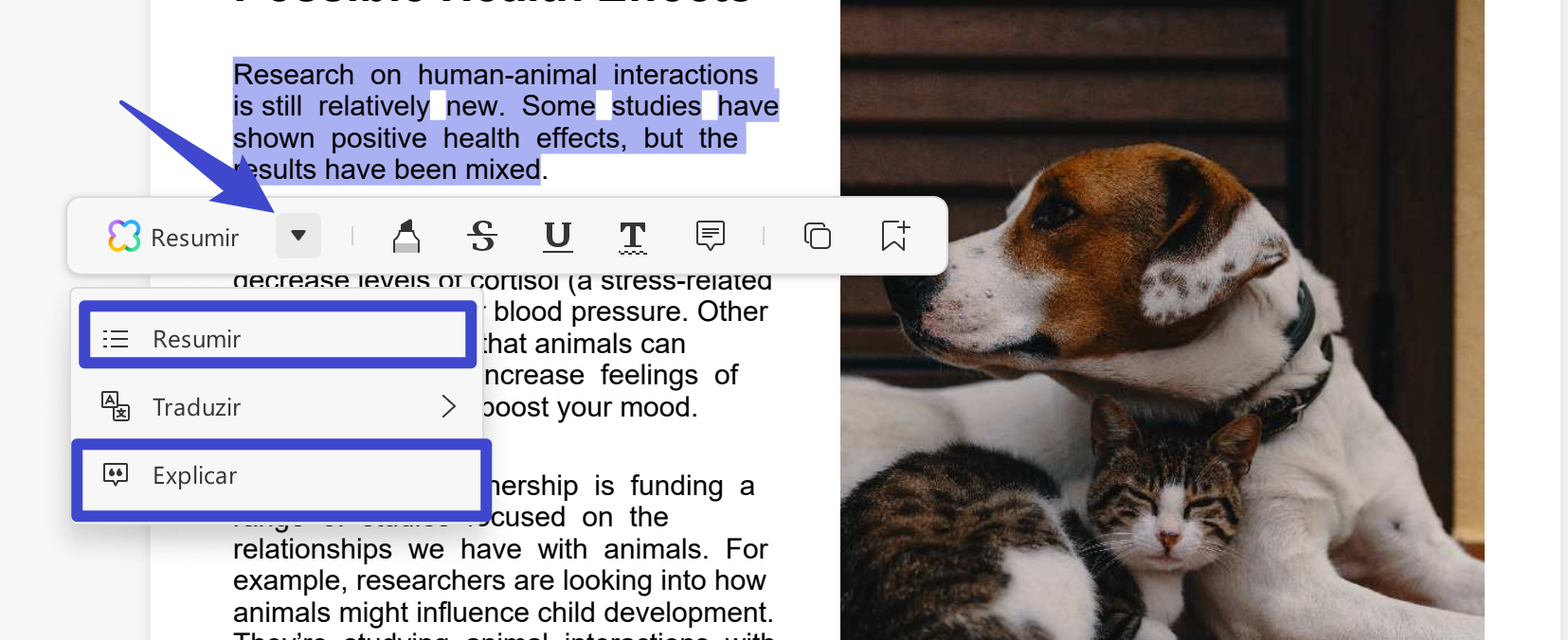 chat pdf online Clique na seta para baixo e escolha a opção "Resumir" ou "Explicar".