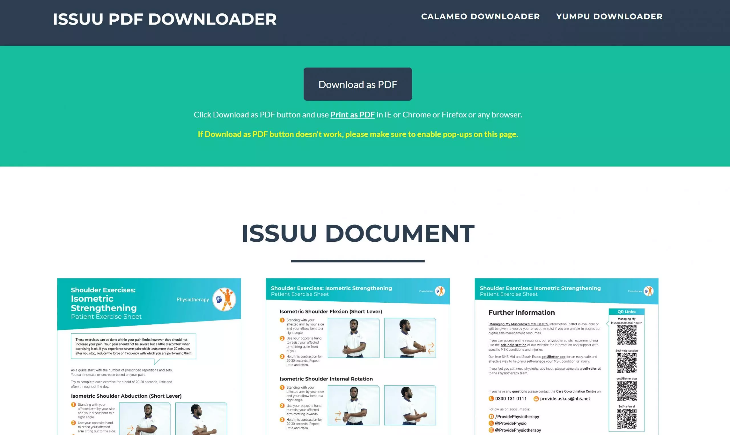 issuu para pdf via downloader