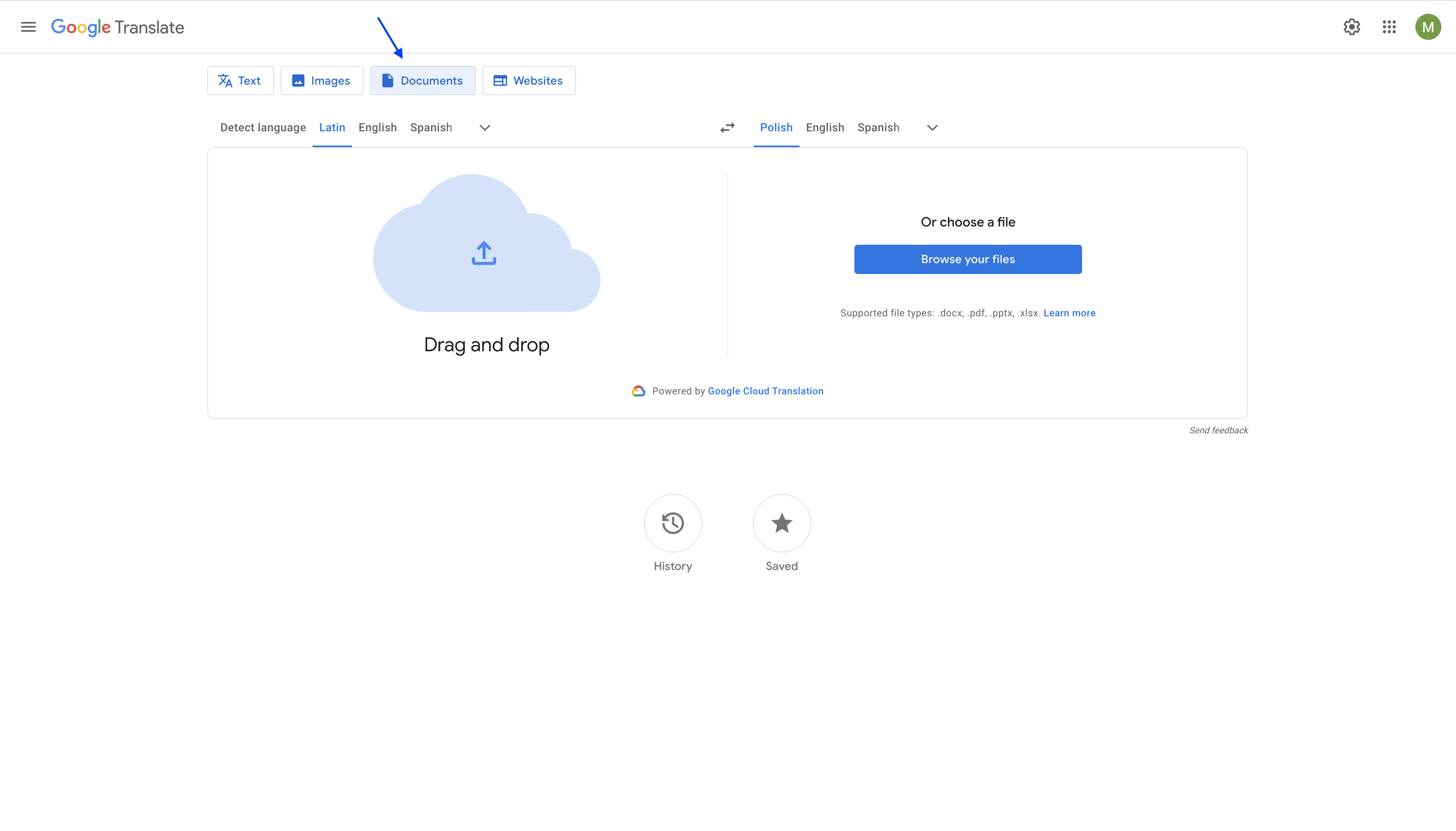 drop the pdf in google translate