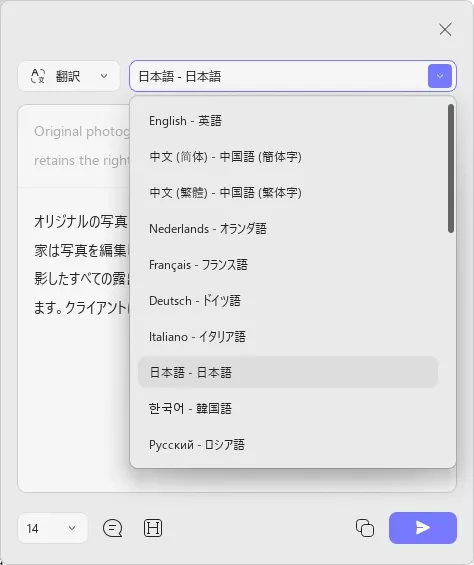 AI翻訳の設置を調整